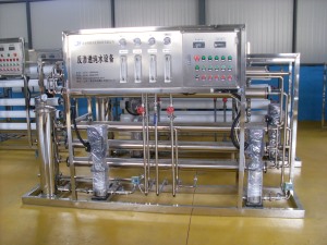 1噸雙級草莓视频在线观看免费视频全不鏽鋼主機